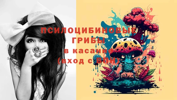 дурь Володарск