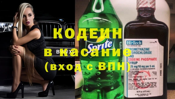 шишки Тобольск