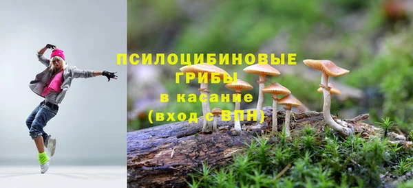 дурь Володарск