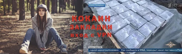 дурь Володарск