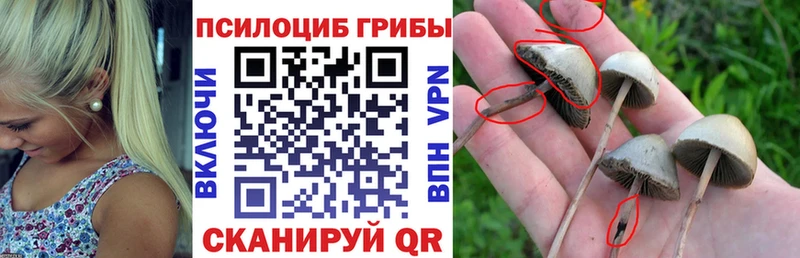 Псилоцибиновые грибы MAGIC MUSHROOMS  Назарово 
