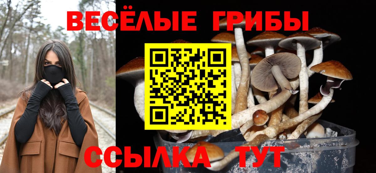 Галлюциногенные грибы прущие грибы  Вход с VPN  Назарово 